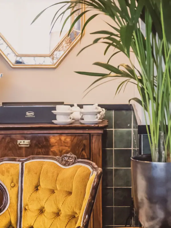 A room with a mirror and a potted plant.