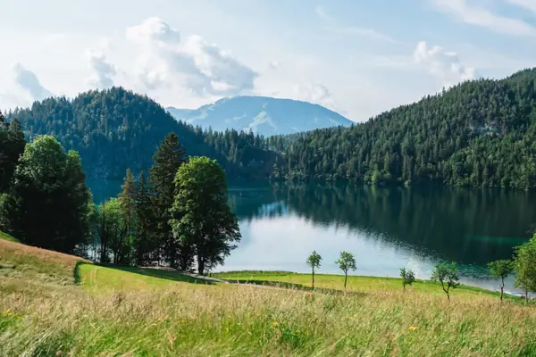 A lake with trees and mountains in the background.