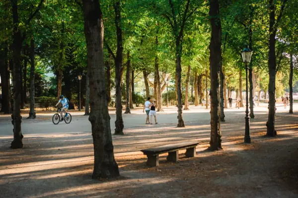 People are standing outdoors under trees.