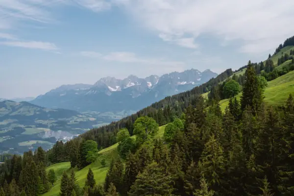 The green mountain panorama of the Kitzbühel Alps in summer under a blue sky.