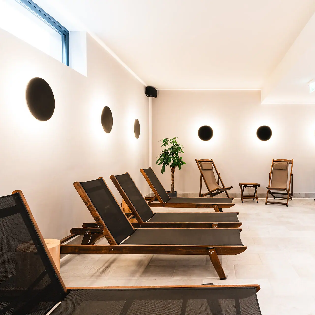 A room with chairs and a plant.