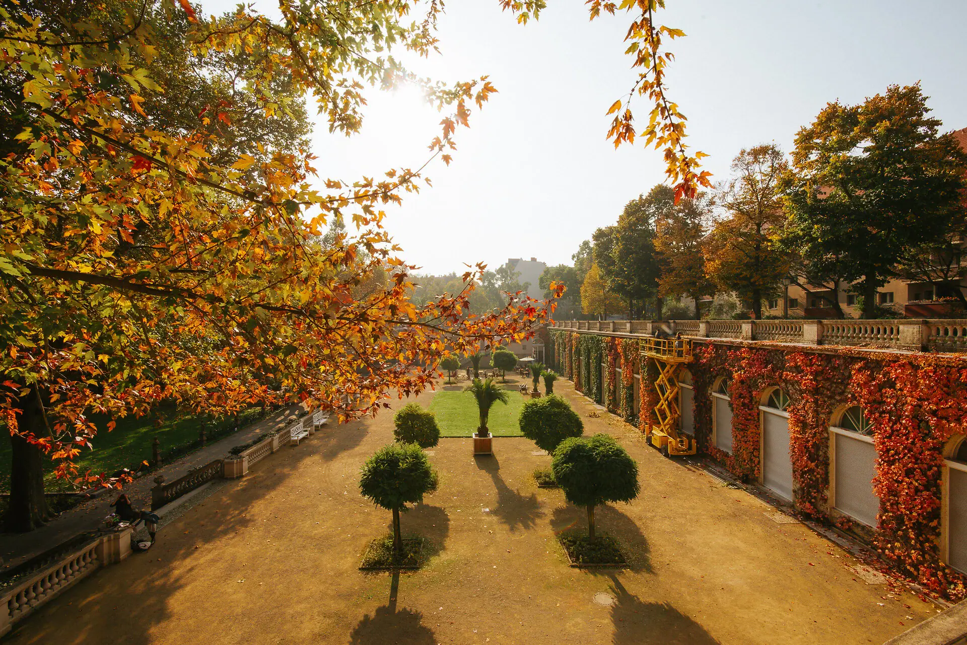 Courtyard with trees and bushes in autumn.