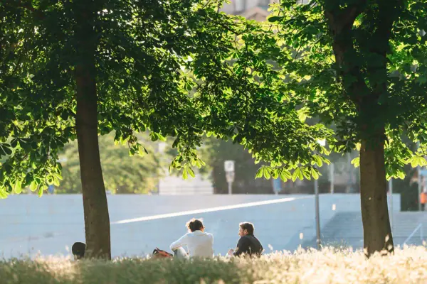 People sit on a meadow under trees.