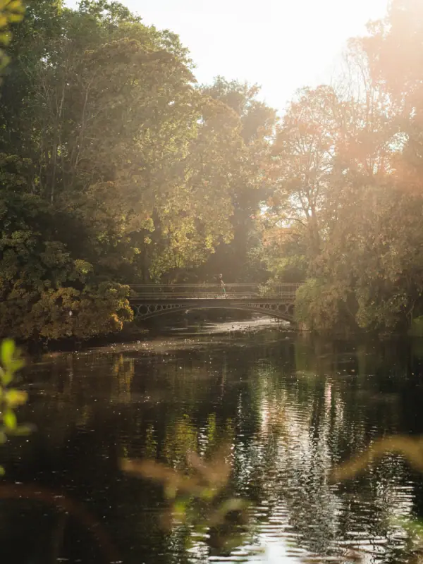 A bridge over a body of water with trees in the background