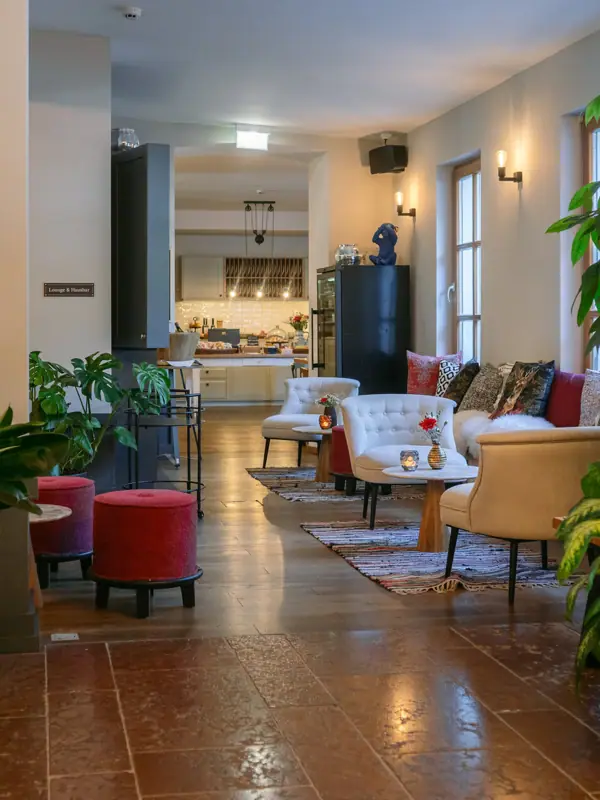 A room with a large plant and chairs.