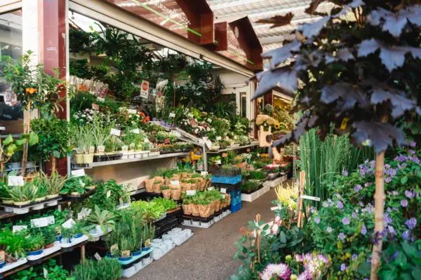 A shop selling plants and flowers.
