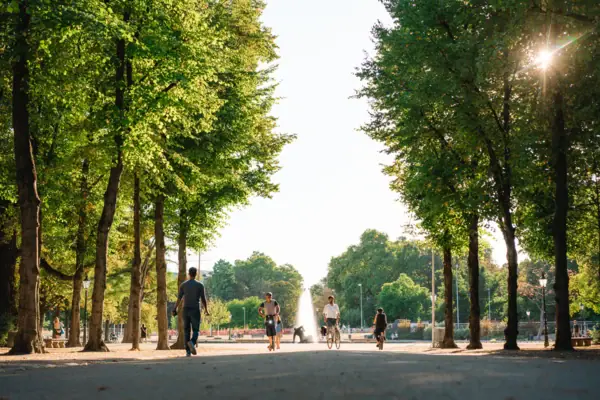 A group of people riding bicycles on a tree-lined path.