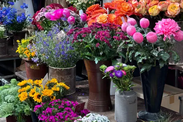 A group of flowers in vases on Carlsplatz.