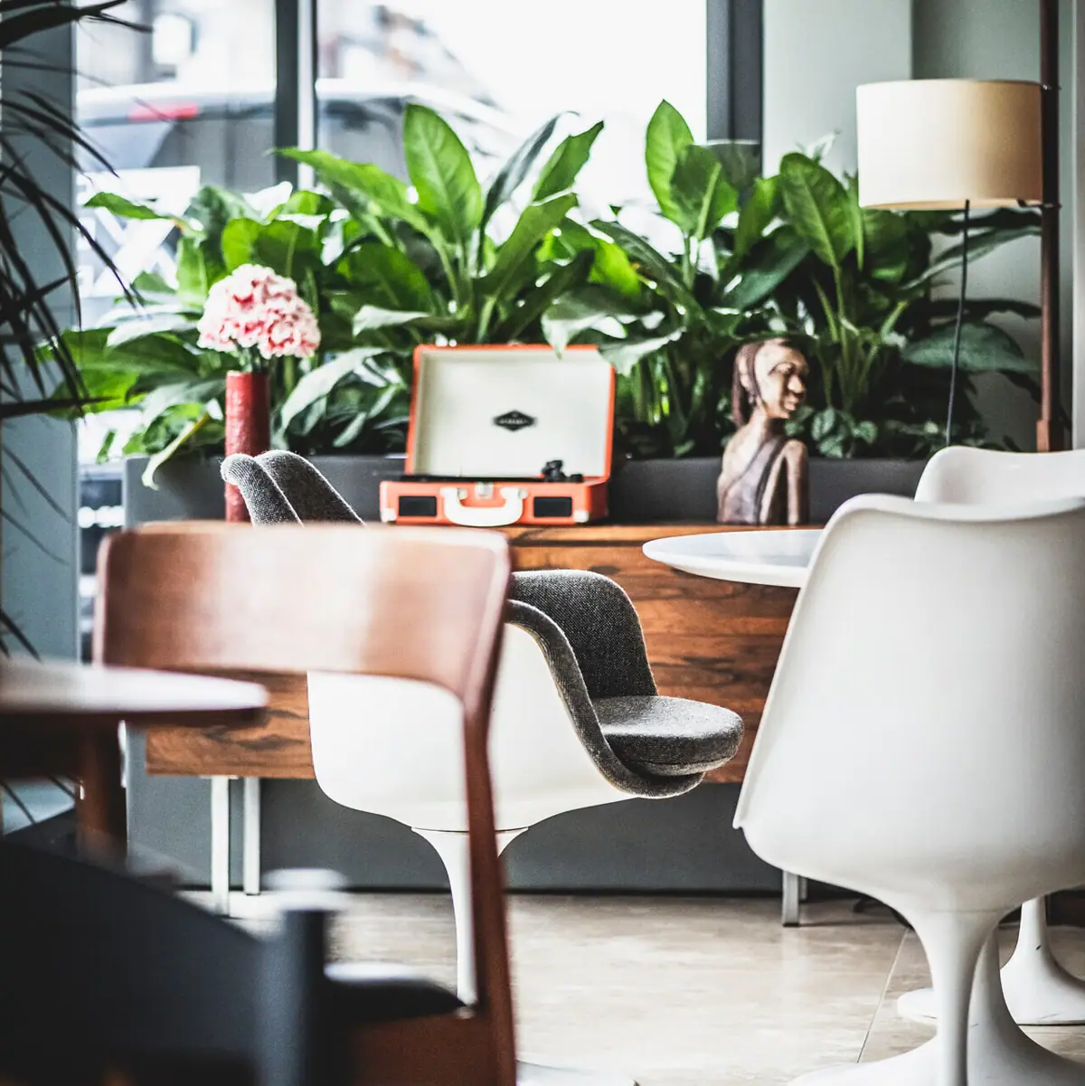 A room with chairs, a table and a plant.