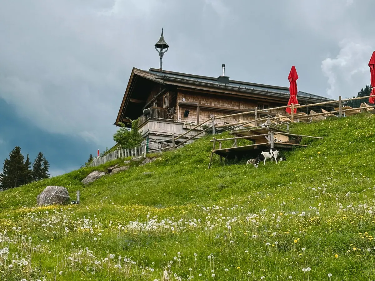 House on a hill with grass and trees.