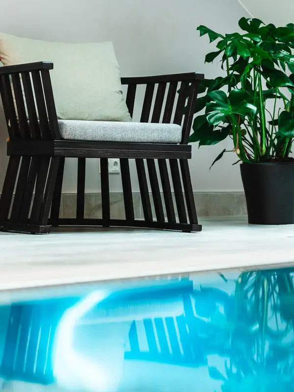A chair and a plant next to a pool.