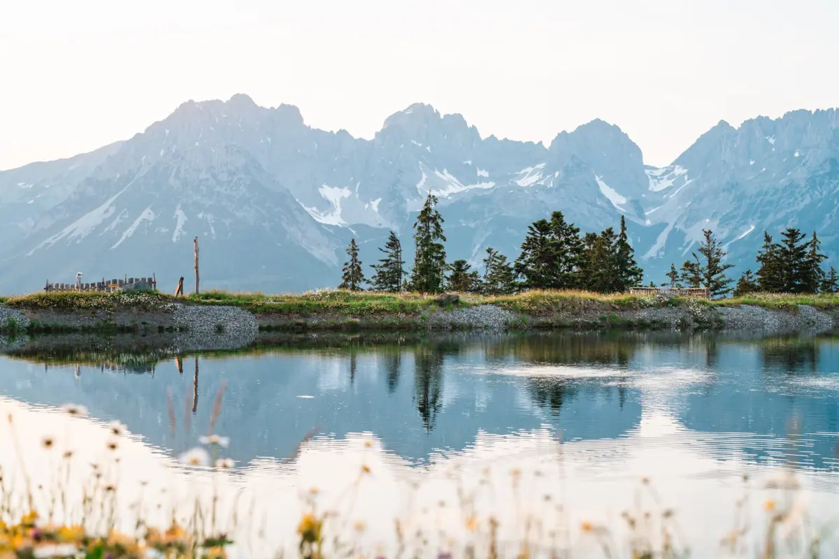A lake with trees and mountains in the background.