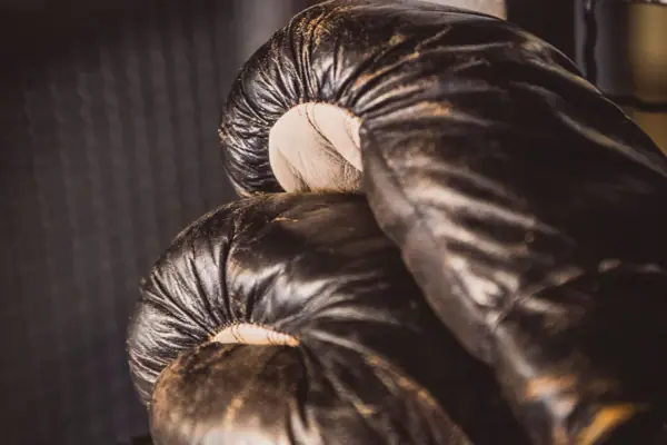 A pair of leather boxing gloves.