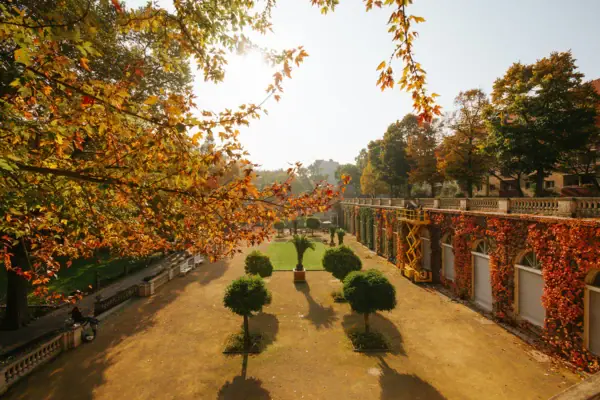 HENRI Berlin Autumn Courtyard with trees and bushes in autumn.