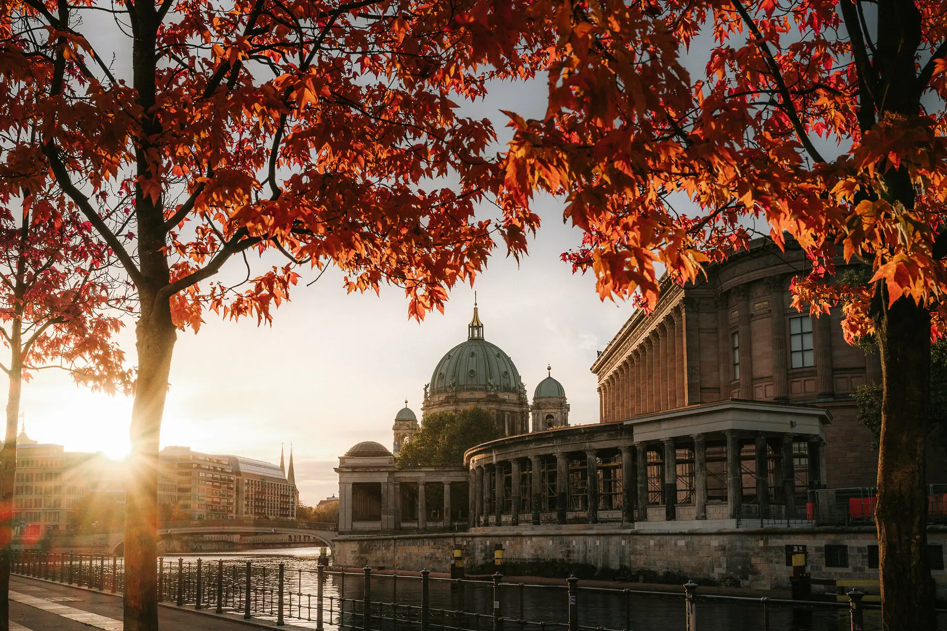 A tree with red leaves next to a building with a dome.