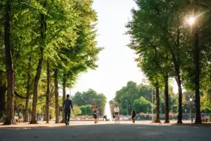 A group of people riding bicycles on a tree-lined path.