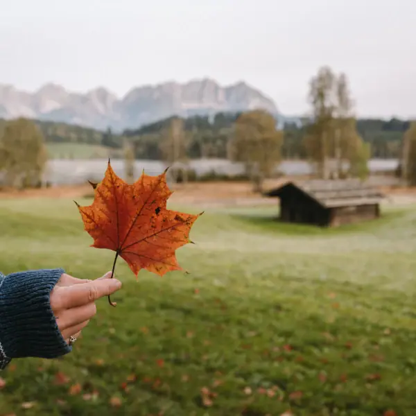 Autumn in Kitzbühel