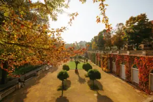 Courtyard with trees and bushes in autumn.