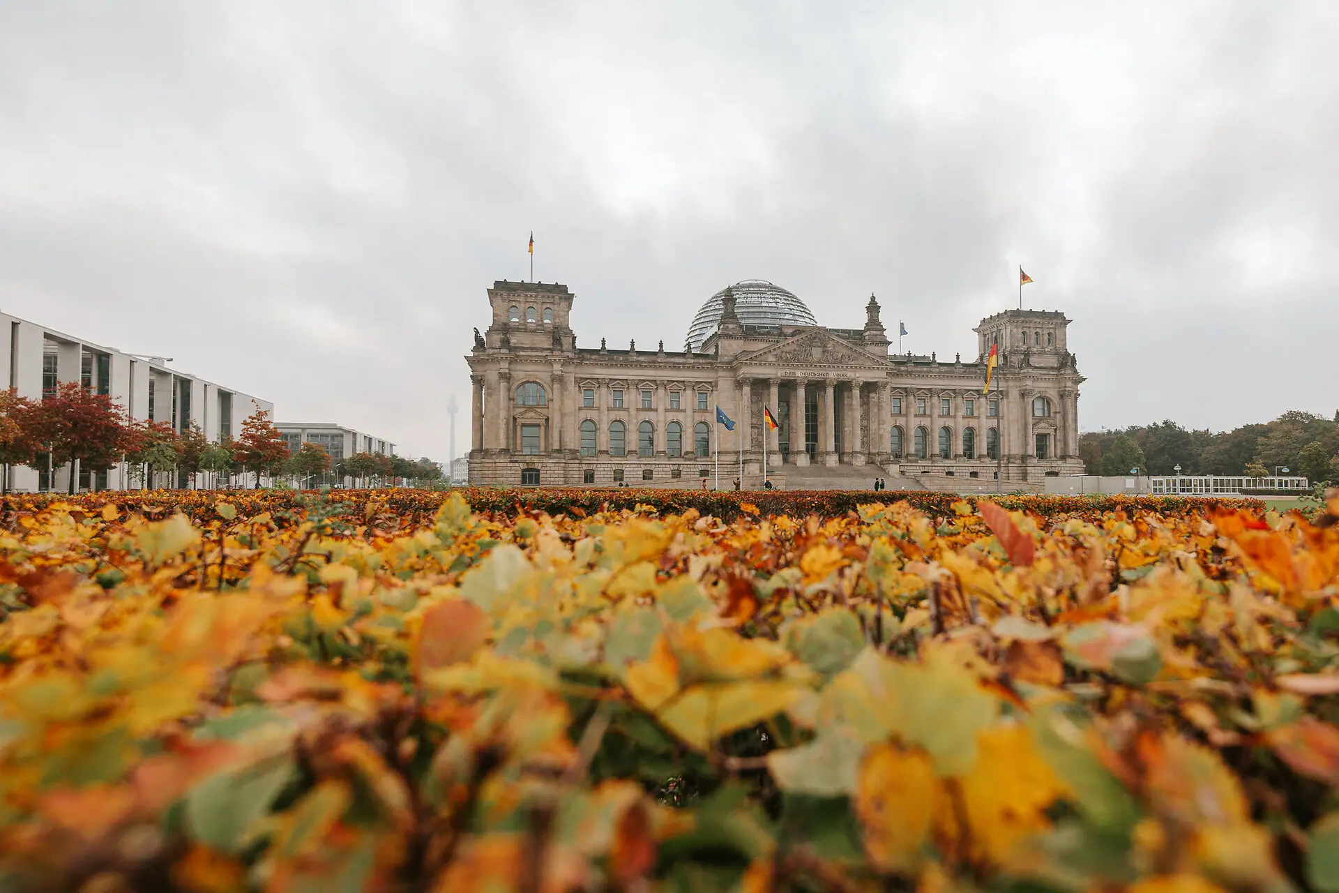The historic Reichstag building in Berlin, with its modern glass dome, set against a hedge turning autumnal colours beneath a cloudy sky.