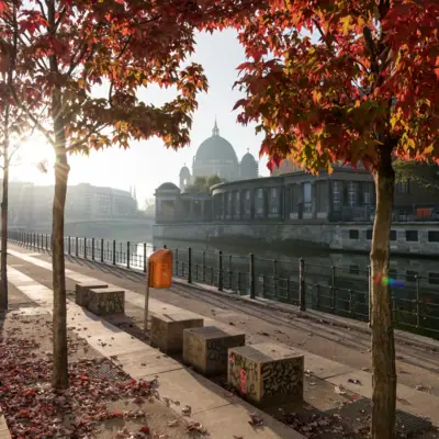 A path with red leaves on the trees and a building in the background.