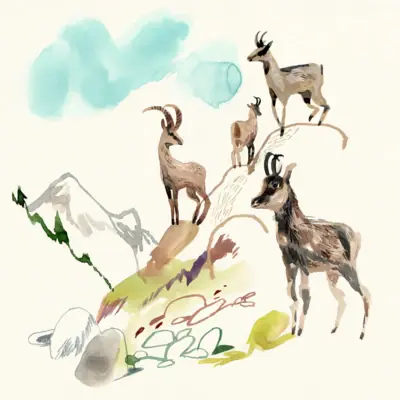 A drawing of a group of goats on a mountain.