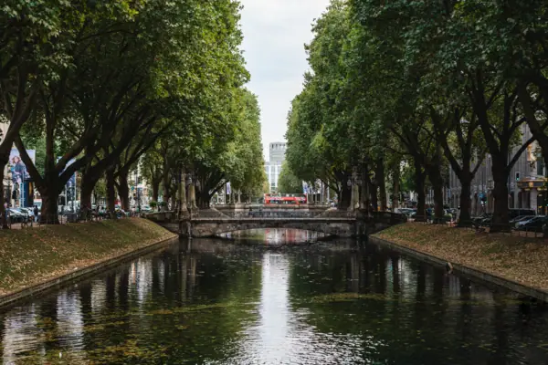A river with trees and a bridge spanning it.