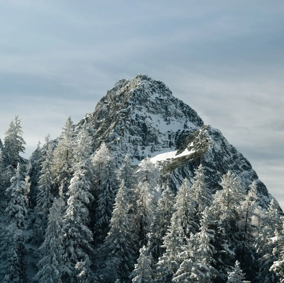 Snow-covered mountain with trees in the foreground.