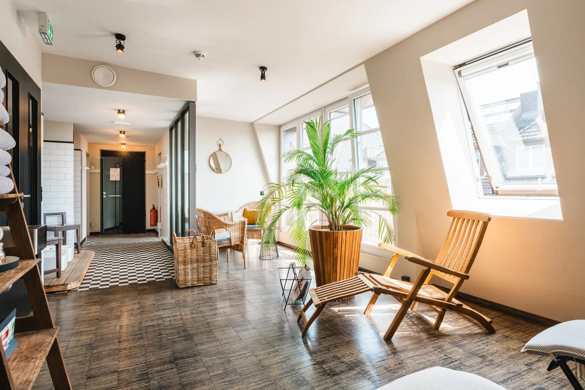 A room with deckchairs and a plant.