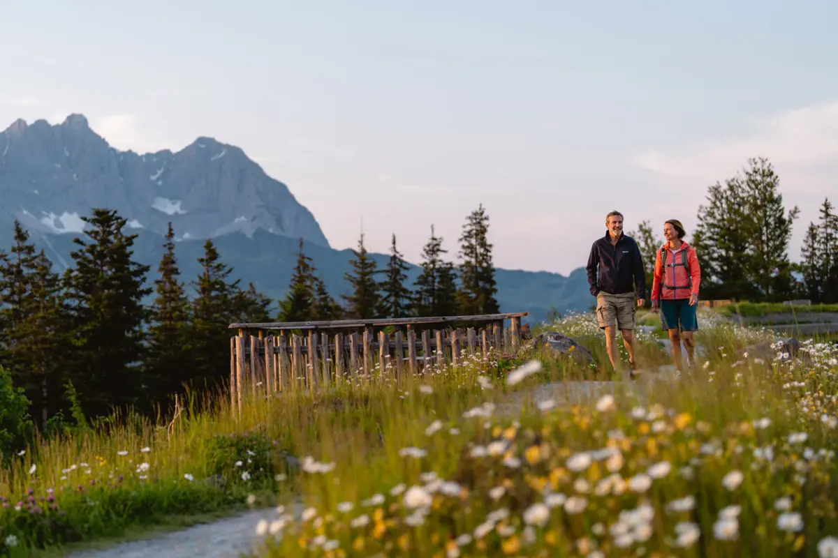 A group of people walk along a path through a flowering field with a mountain in the background.