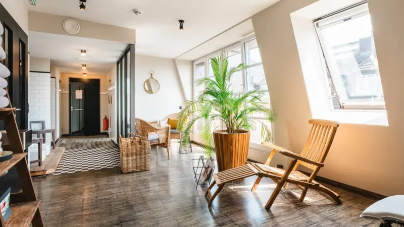 Wellness area with wicker chairs, deckchair and palm tree