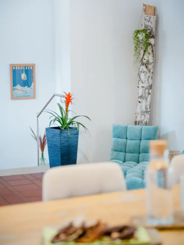 Impuls Raum Garmisch-Partenkirchen A blue sofa with a plant in a blue pot.