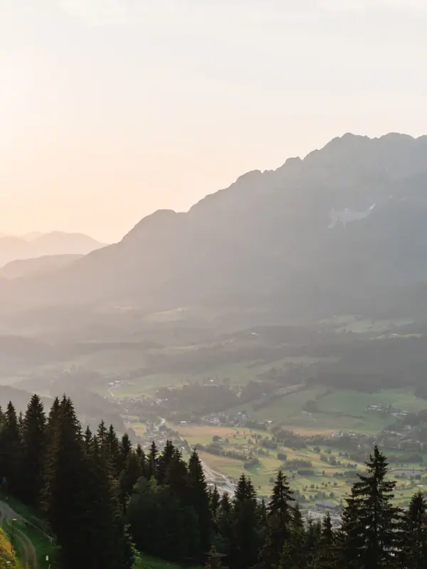 A landscape of a valley with trees and mountains.