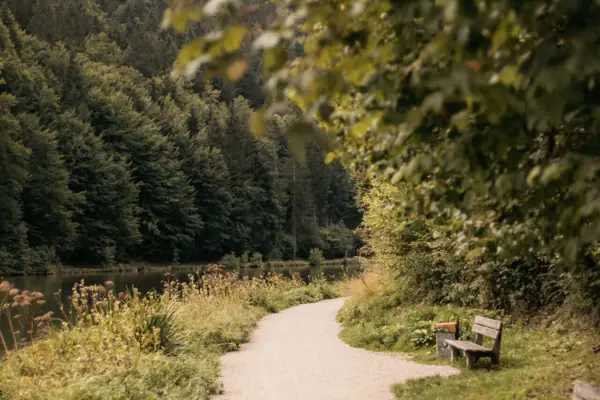 A path with benches and a lake in the background.