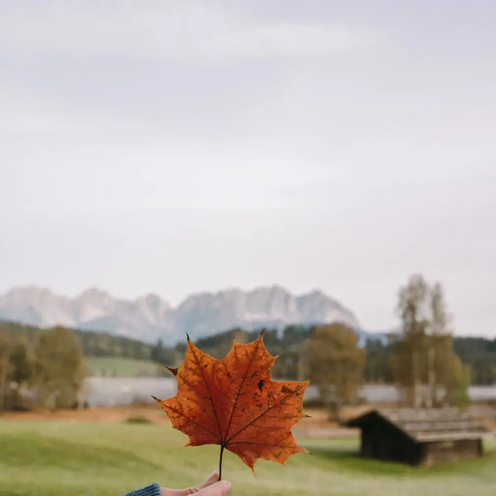 HEN_KIZ_sza_Herbst23_Desti_4797